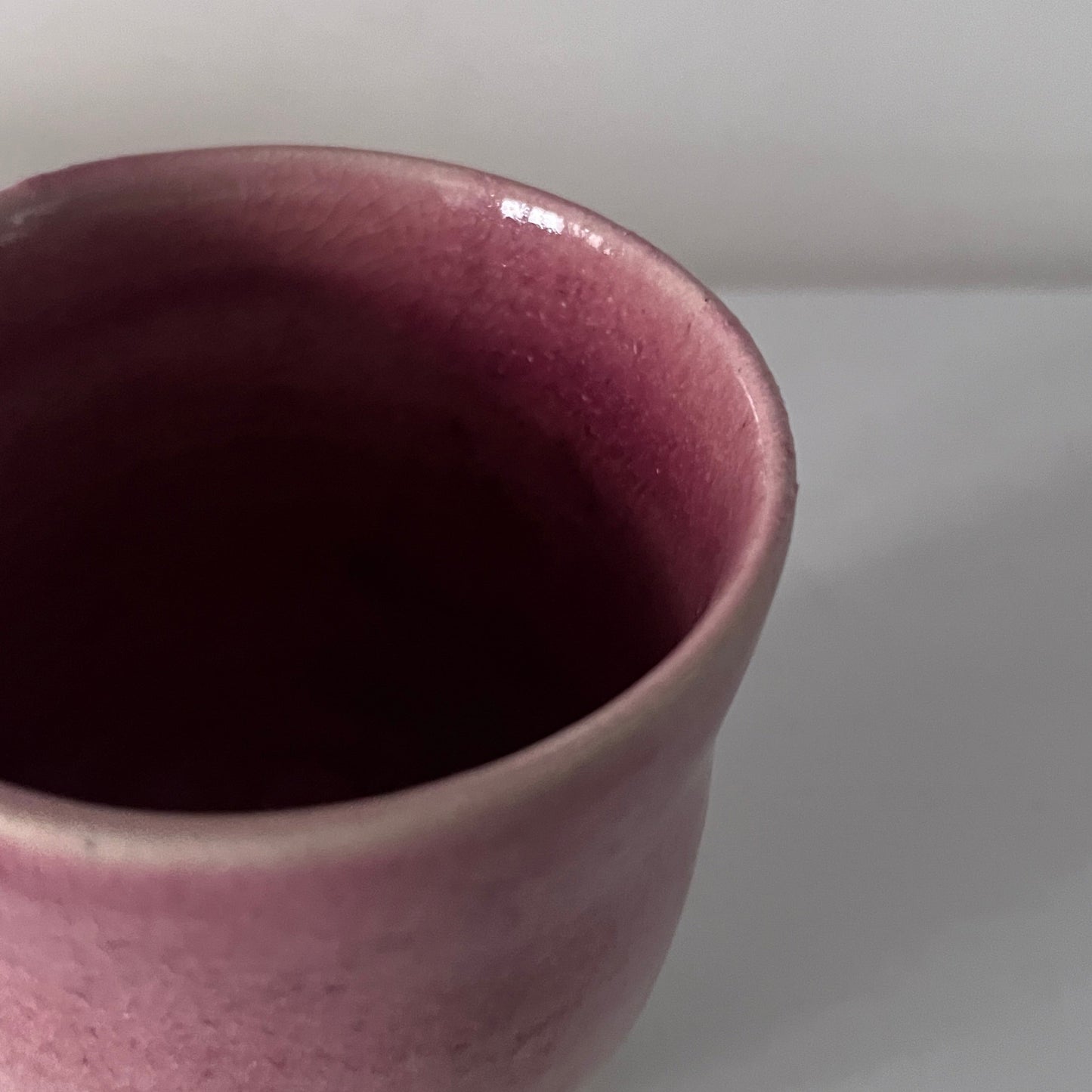 Raspberry Tumblers - Set of 2